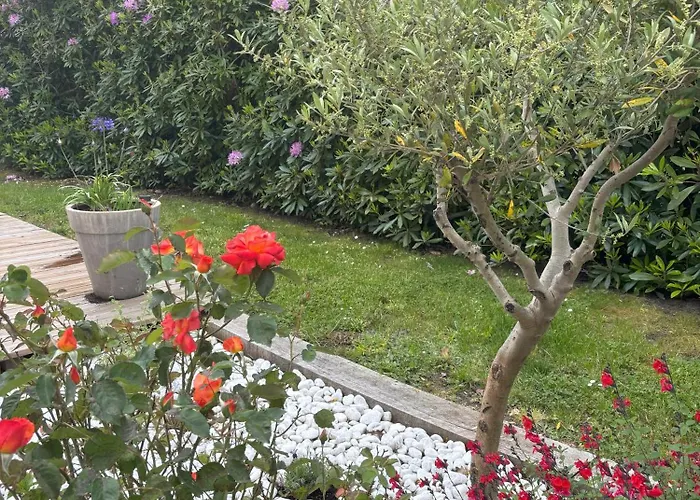 Jeane-rose, Maison En Bois Avec Piscine Vakantiehuis *